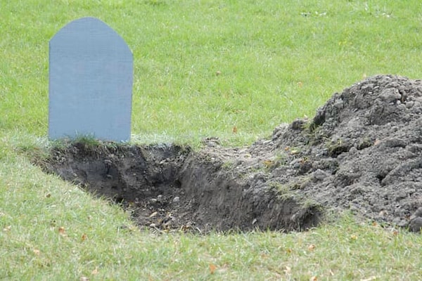 11. Какой единственный элемент был назван в честь человека, который все еще живет в 2019 году?