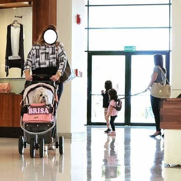 20. Дамочки, а вы ничего не перепутали?