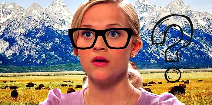 Тест на общие знания: Знаете ли вы все и даже больше?