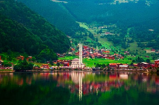 2019 Trabzon Liseleri Taban Puanları ve Yüzdelik Dilimleri