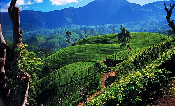 5. Какое государство было известно как "Цейлон" в те времена, когда оно было британской колонией?