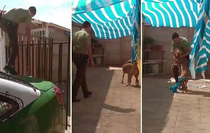 Brandaya Dolandıktan Sonra Çaresiz Kalan Köpek, Kendisini Kurtaran Polise Sarılarak Teşekkür Etti!