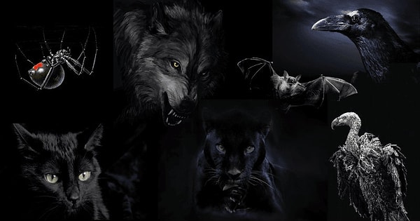 Выберите животное: