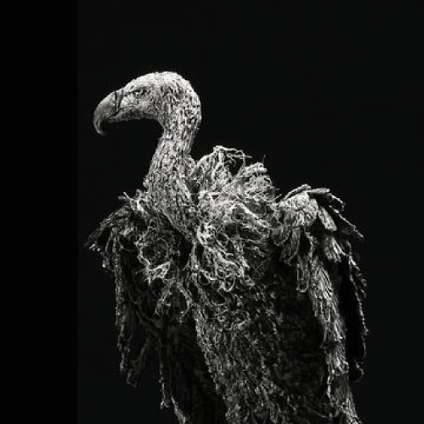 Стервятник