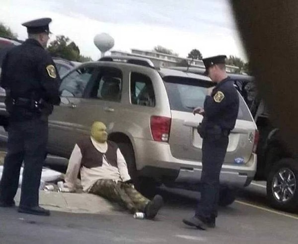 9. Шрек уже не тот