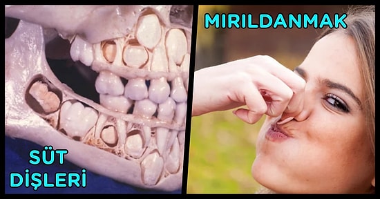 Duyar Duymaz Hayata Olan Bakış Açınızı Değiştirip Beyninizi Yakacak 23 Enteresan Bilgi