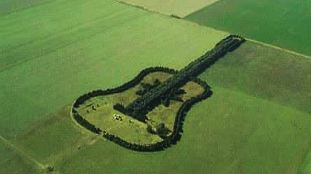 14. Bir adam eşinin anısına 7,000 ağaç dikerek gitar şeklinde bir orman oluşturmuştur.