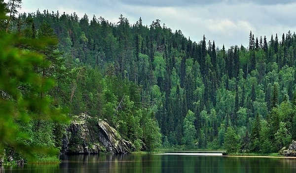 4. В какой комедии действие разворачивается в тайге?