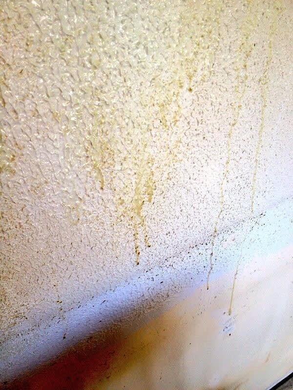 9. Какая гадость, товарищи!