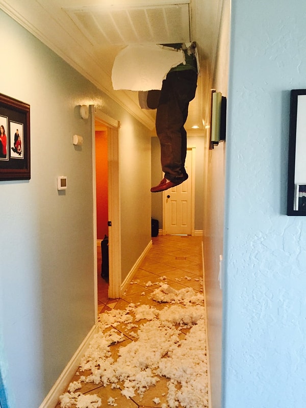 15. «Привет, сосед!»