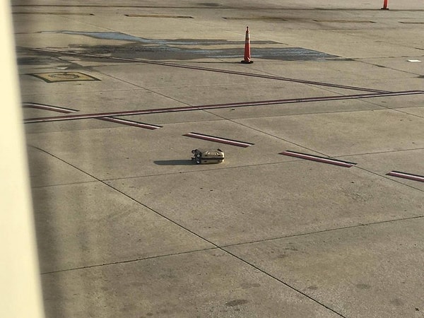 16. Кто-то полетит домой без багажа