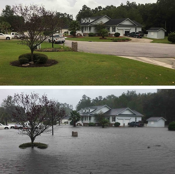 9. До и после урагана