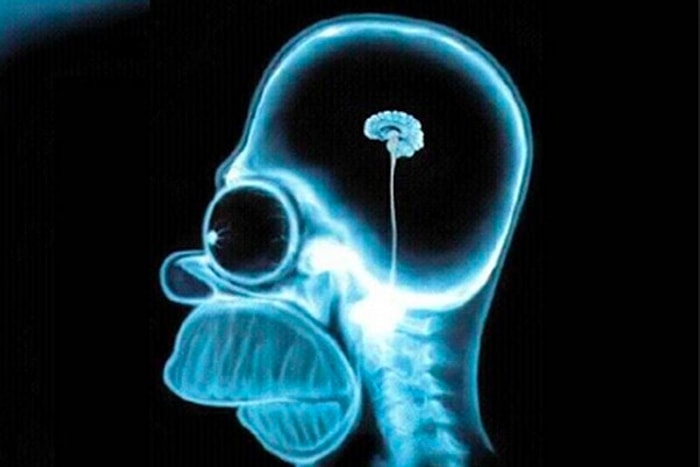 Тест: 12 школьных задачек, способные поставить под сомнение вашу сообразительность. Примите вызов?