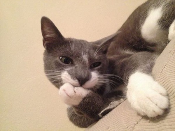 12. Археологи нашли монету, датированную 35 годом до нашей эры. Это возможно?