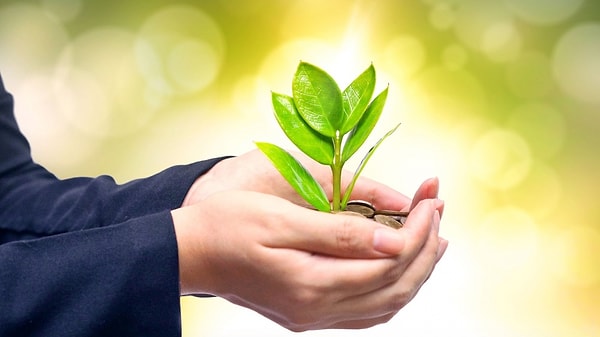 Вы вступаете в период процветания!