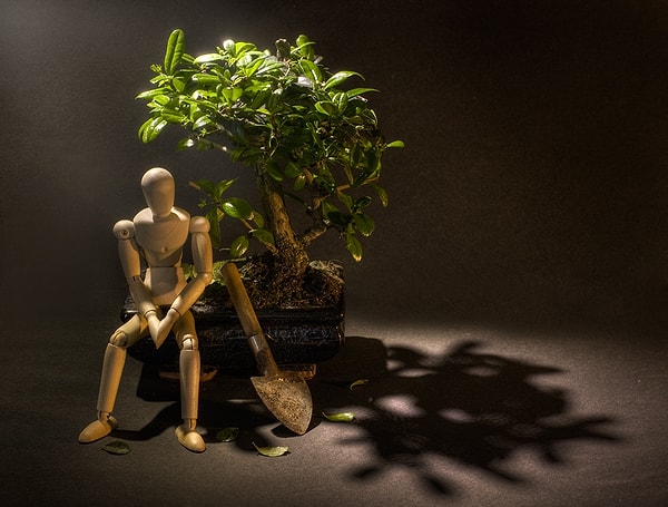 Gu 蠱: декаданс; исправление того, что было испорчено