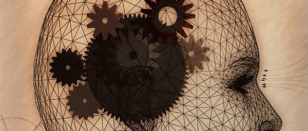 Вы проницательный философ