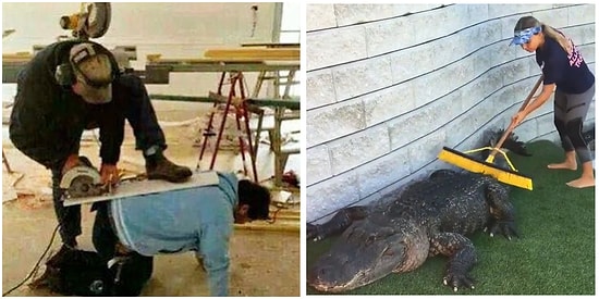 Cesaretli Olma Konusunda Altın Madalyayı Sonuna Kadar Hak Etmiş Birbirinden Cesur 15 Kişi