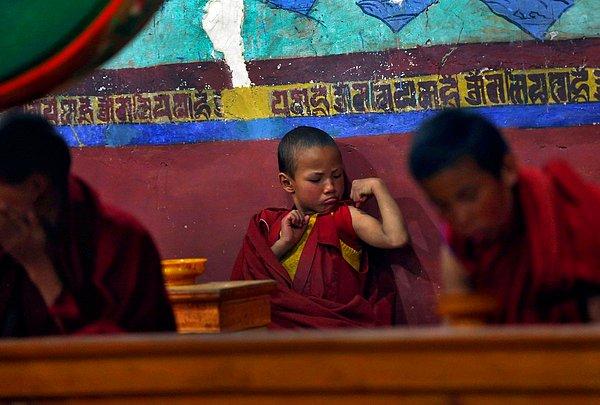 43. Hindistan'daki Thikse Manastırı'nda sabah duası sırasında genç bir Budist keşiş.