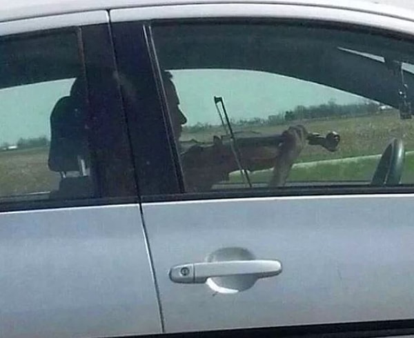 15. Искусство в пробке - это сила!