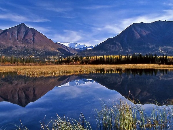 8. Самый крупный российский заповедник - это...