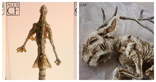 1800'lü Yıllarda Yaşamış Bir Biyoloğun Bodrumunda Bulunan 19 Korkunç İskelet