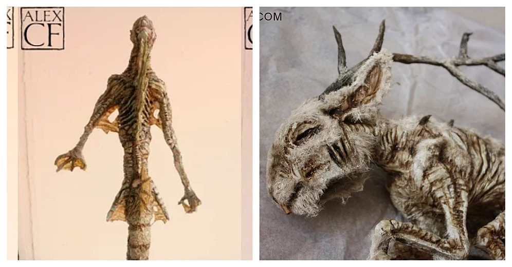 1800'lü Yıllarda Yaşamış Bir Biyoloğun Bodrumunda Bulunan 19 Korkunç İskelet