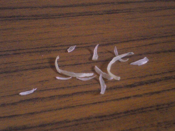 7. Они не стригут ногти в определенном месте и никогда не убирают их за собой...