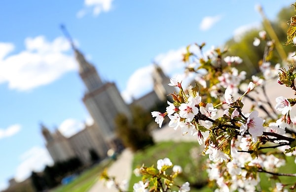1. О ком обычно говорят, что "с весною в сени к нам летит"?