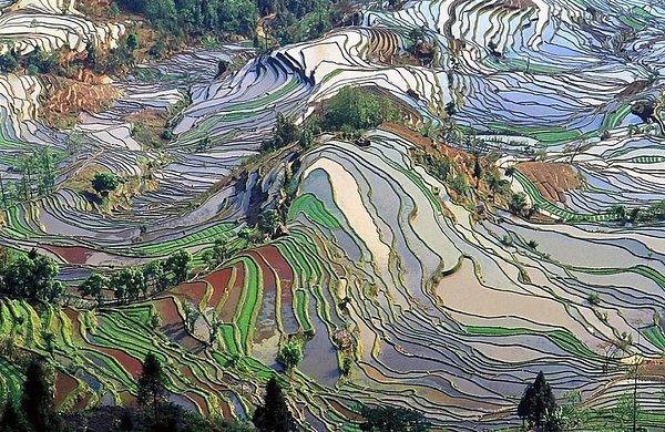 15. Bir tabloya baktığınızı düşünseniz de bu Çin'deki 'taraça tarlaların' eşsiz bir estetikle düzenlenmiş görüntüsü.