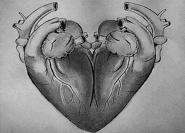 12. "Bugün, kalbi aşkı sembolize etmesi için '❤️' bu şekilde çizmemizin sebebi, 2 gerçek kalbin birleşmesinden oluşmasıymış."