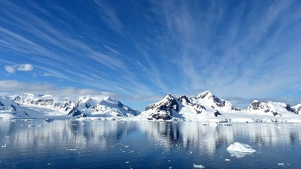 5. Символом Антарктиды является...