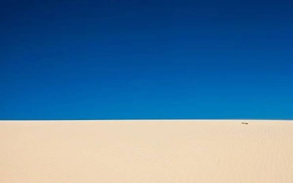 17. Бесконечность пустыни