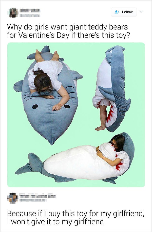 1. "Почему все девушки хотят получить плюшевого медведя на День Святого Валентина, когда есть такая игрушка?!"