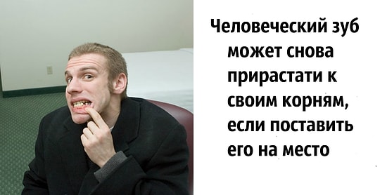 23 факта, которые покажутся вам полным бредом, но являются абсолютной правдой