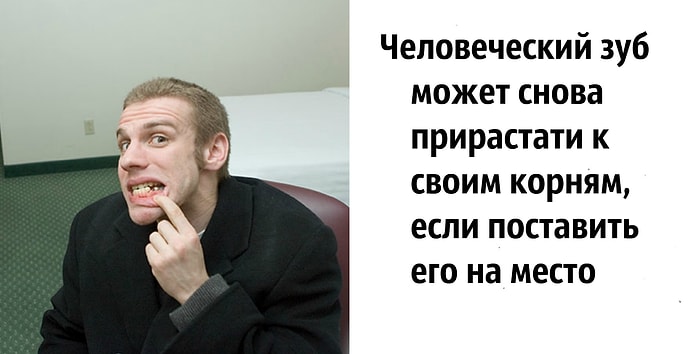 23 факта, которые покажутся вам полным бредом, но являются абсолютной правдой