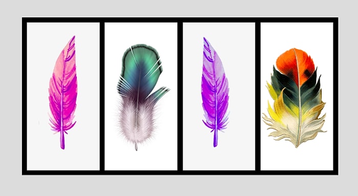 Тест: Выберите перо и узнайте миссию своей жизни