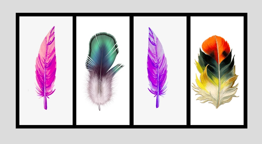 Тест: Выберите перо и узнайте миссию своей жизни