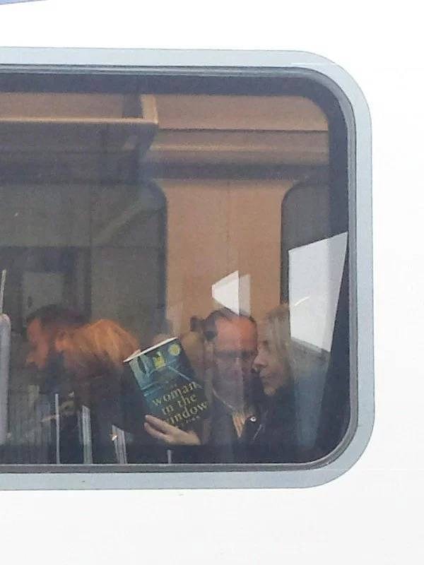 14. Женщина в окне, читающая роман "Женщина в окне".