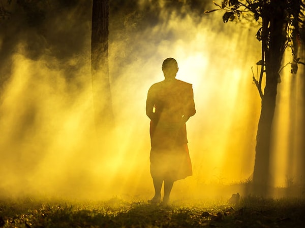 2. В этой жизни вы...