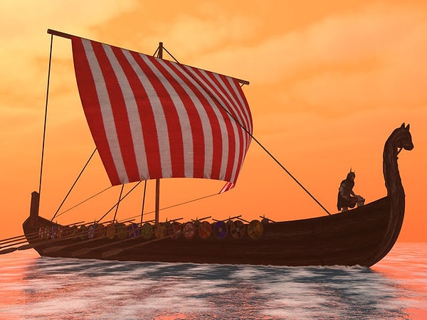 В прошлой жизни вы были викингом!