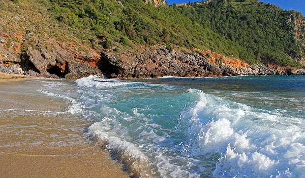 8. Какая из этих стран не имеет выхода к Средиземному морю?