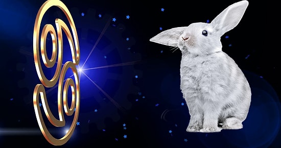 Тест: Какое тотемное животное олицетворяет ваш знак зодиака?