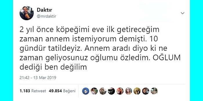 Aile Üyelerini Mizahlarına Alet Eden Goygoyculardan Haftanın En Eğlenceli 19 Paylaşımı