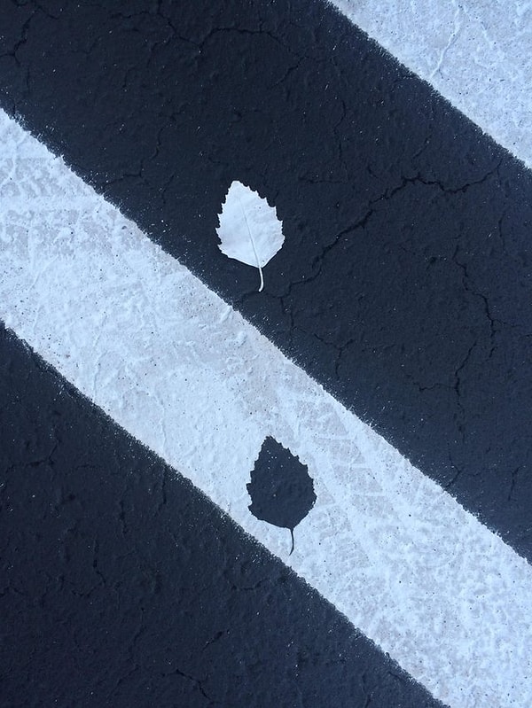 3. На память от природы-матушки