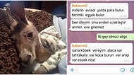 Kızının Gönderdiği Pijamalı Hayvan Fotoğrafını Yanlış Anlayan Babanın İsyanı ve Bu İsyana Gelen Birbirinden Komik Tepkiler