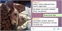 Kızının Gönderdiği Pijamalı Hayvan Fotoğrafını Yanlış Anlayan Babanın İsyanı ve Bu İsyana Gelen Birbirinden Komik Tepkiler