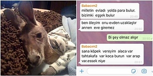 Kızının Gönderdiği Pijamalı Hayvan Fotoğrafını Yanlış Anlayan Babanın İsyanı ve Bu İsyana Gelen Birbirinden Komik Tepkiler