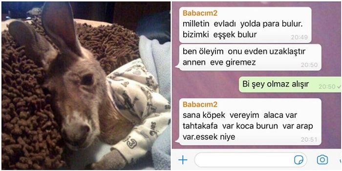 Kızının Gönderdiği Pijamalı Hayvan Fotoğrafını Yanlış Anlayan Babanın İsyanı ve Bu İsyana Gelen Birbirinden Komik Tepkiler