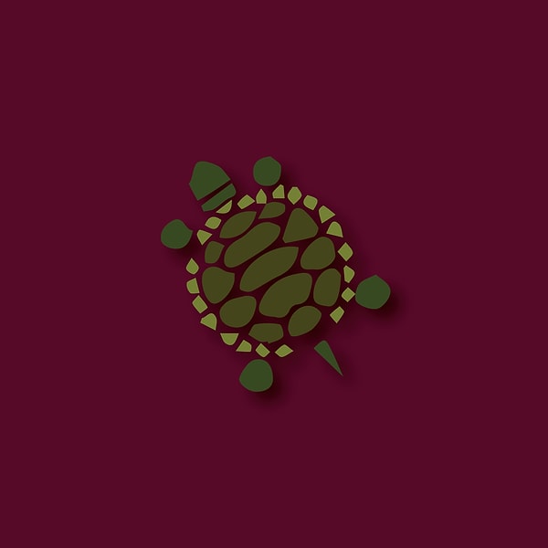 Ваше тотемное животное - черепаха!